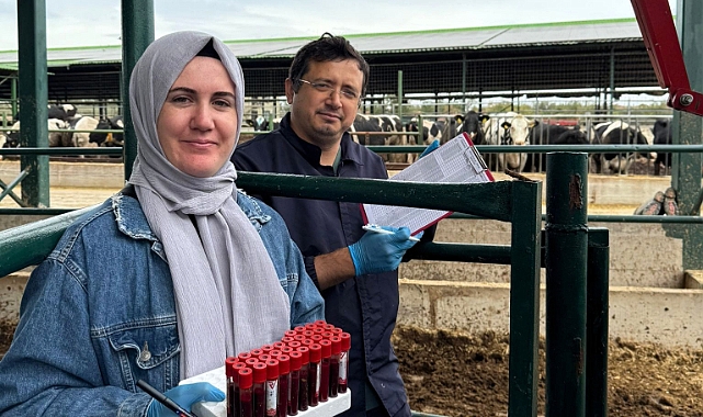 Lüleburgaz’da Arilik Çalışmaları Kapsamında Hayvan Sağlığı Takibi Sürüyor