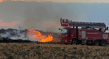 Pınarhisar’da Tarla Yangını: Vatandaşlardan “Bilinçli mi Yakıldı?” Sorusu