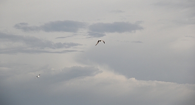 Trakya’da Cuma Günü Gri Gökyüzü Hakim Olacak
