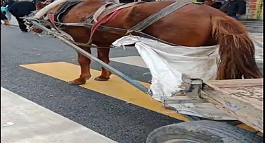Yaya geçidine park edilen at arabasının sahibine 993 lira ceza