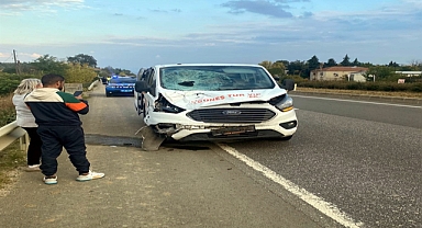 Yol kenarında yürürken minibüsün çarptığı yaya öldü