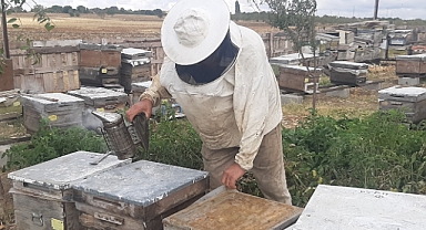 2025 Yılı Arıcılık Desteklemesi Başvuruları Devam Ediyor