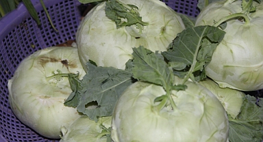 Alabaş: Sağlık Deposu Alman Şalgamı Yeniden Sofralarda