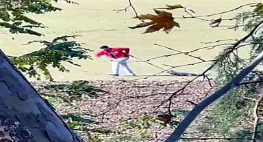 Belediye personeli, sokak köpeğini iple sürükledi