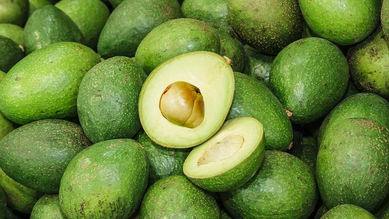 Bilim insanları avokado kabuğunun başlıca sağlığa faydalarını sıraladı