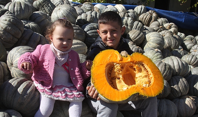 Cadılar Bayramı İçin Kara Kabaklar Üsküpdere’den