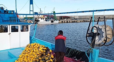 Demirköy Beğendik Balıkçı Barınağı'nda Düzenli Denetimler Sürdürülüyor