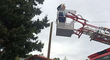 Evrensekiz'de Zabıta Amirinden Örnek Davranış