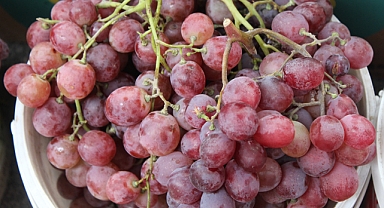 Kırklareli'de Yazın Son Üzümleri Tezgâhlarda 