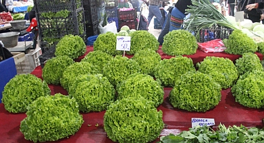 Kırklareli Kapalı Pazarında Kıvırcık Fiyatları Dalgalanıyor