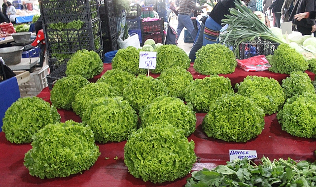 Kırklareli Kapalı Pazarında Kıvırcık Fiyatları Dalgalanıyor