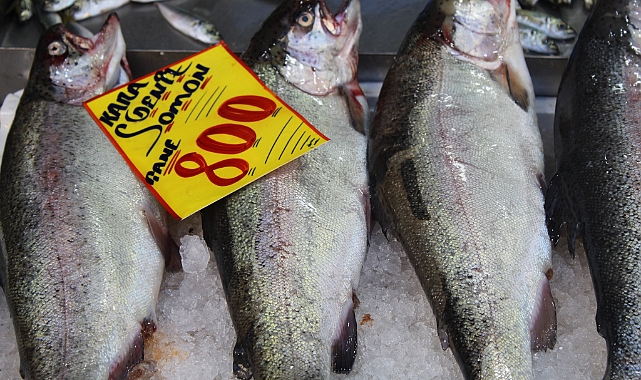 Kırklareli'nde Karadeniz Somonu Tanesi 800 TL'den Satışta