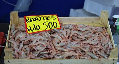 Kırklareli'nde Karidesin Kilosu 500 TL'ye Yükseldi