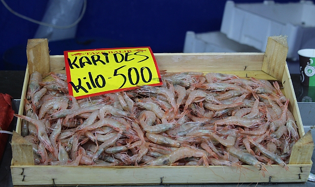 Kırklareli'nde Karidesin Kilosu 500 TL'ye Yükseldi