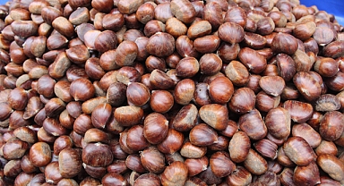 Kırklareli'nde Kestane Kilosu 400 TL'ye Yükseldi