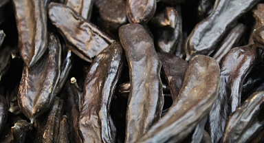 Kış Aylarının Şifalı Lezzeti