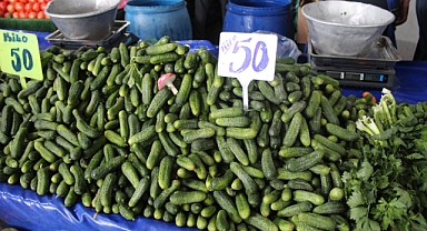 Kornişon Salatalıklara Yoğun İlgi; Boyu Küçüldükçe Fiyatı Artıyor