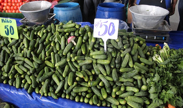 Kornişon Salatalıklara Yoğun İlgi; Boyu Küçüldükçe Fiyatı Artıyor