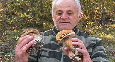 Kuraklık nedeniyle Istranca Ormanları’nda mantar popülasyonu azaldı, kilosu 500 TL’ye çıktı