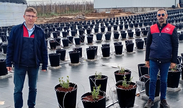 Müsellim Köyü'nde Basınçlı Sulama Projesine Teknik İnceleme