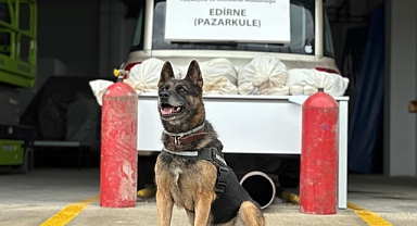 Pazarkule Sınır Kapısı'nda otomobilin LPG tanklarında 19 kilo 692 gram esrar ele geçirildi