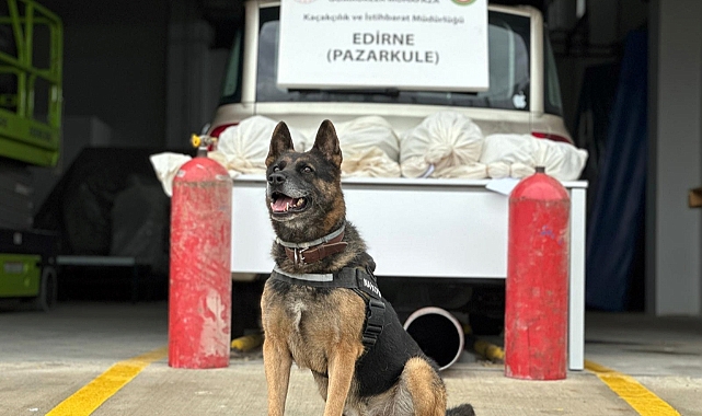 Pazarkule Sınır Kapısı'nda otomobilin LPG tanklarında 19 kilo 692 gram esrar ele geçirildi