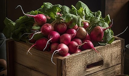 Tarım Ürünleri Üretici Fiyat Endeksi Eylül’de Yükseldi