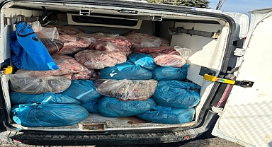 Tekirdağ'da 2 ton kaçak sakatat ele geçirildi