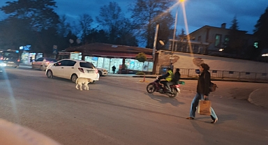 Yağmurlu Havada Akşam Trafiğinde Sürücüler ve Yayalara Uyarı