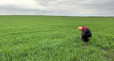 Babaeski'de Buğday Ekim Alanlarında Teknik Kontroller Yapıldı