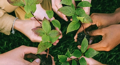 Çevre Koruma Harcamalarında Rekor Artış