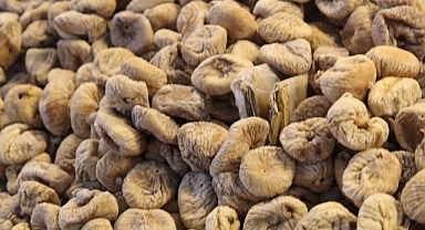 Dağ Yamaçlarında Yetişen Organik İncirin Değeri Artıyor