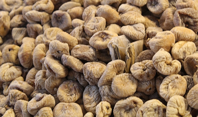 Dağ Yamaçlarında Yetişen Organik İncirin Değeri Artıyor