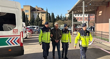 Durdurulan araçtan 15 kaçak göçmen yakalandı