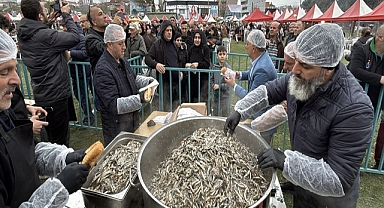 Festivalde 10 bin kişiye 3 ton hamsi dağıtıldı