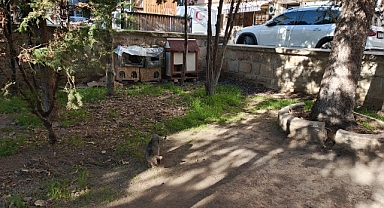 Hızırbey Camii Bahçesinde Kedilere Sıcak Yuva