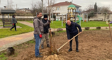 Kavaklı’da Yeşil Gelecek İçin Ağaçlandırma Seferberliği