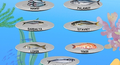 Kırklareli İl Tarım ve Orman Müdürlüğü Aralık Ayı İçin Tüketilebilecek Balıkları Açıkladı