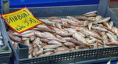 Kırklareli Kapalı Pazarı'nda Barbun Fiyatı Dikkat Çekti