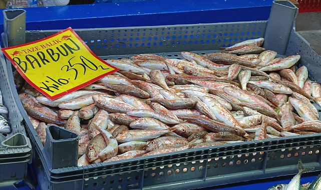 Kırklareli Kapalı Pazarı'nda Barbun Fiyatı Dikkat Çekti