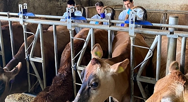 Kırklareli’nde Hayvancılık İşletmelerine Sağlık Odaklı Denetim