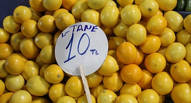 Kırklareli'nde Limon Fiyatları Sert Düştü