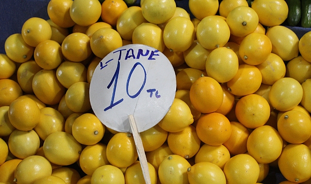 Kırklareli'nde Limon Fiyatları Sert Düştü