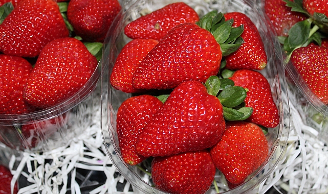 Kırklareli'nde Sezon Sonu Çileği Tezgâhlarda: Kutu Fiyatı 200 TL