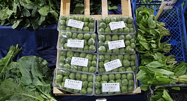 Kırklareli Pazarlarında Brüksel Lahanası 100 TL'den Satışa Sunuldu