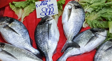 Kırklareli Pazarlarında Deniz Çuprası Tanesi 800 TL'den Alıcı Buluyor