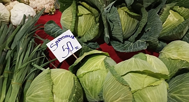 Kırklareli Pazarlarında Sarmalık Lahana Tezgâhlardaki Yerini Aldı