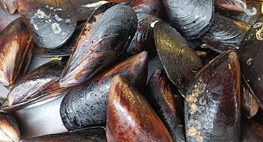 Midye Sağlıklı Beslenmede Öne Çıkıyor