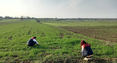 Pehlivanköy'de Buğday Ekim Alanlarında Teknik Kontrol
