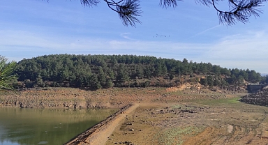 Su Kesintilerine Açıklama: Neden TREDAŞ Çalışmalarından Kaynaklanan Elektrik Kesintisi